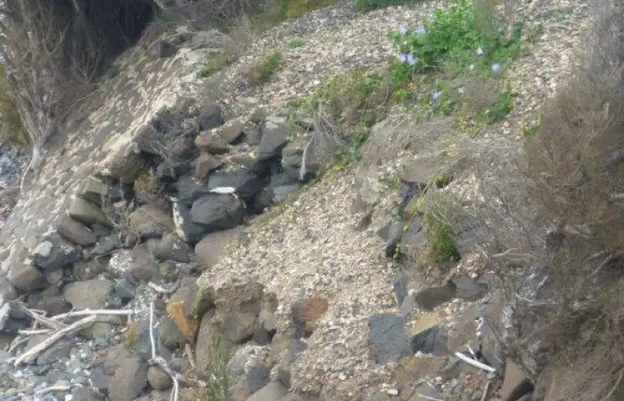 Coastal Erosion Landslips
